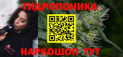 гидра Свободный