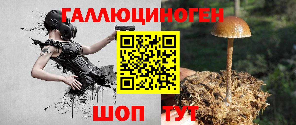 Псилоцибиновые грибы GOLDEN TEACHER  Вход с VPN  Самара 